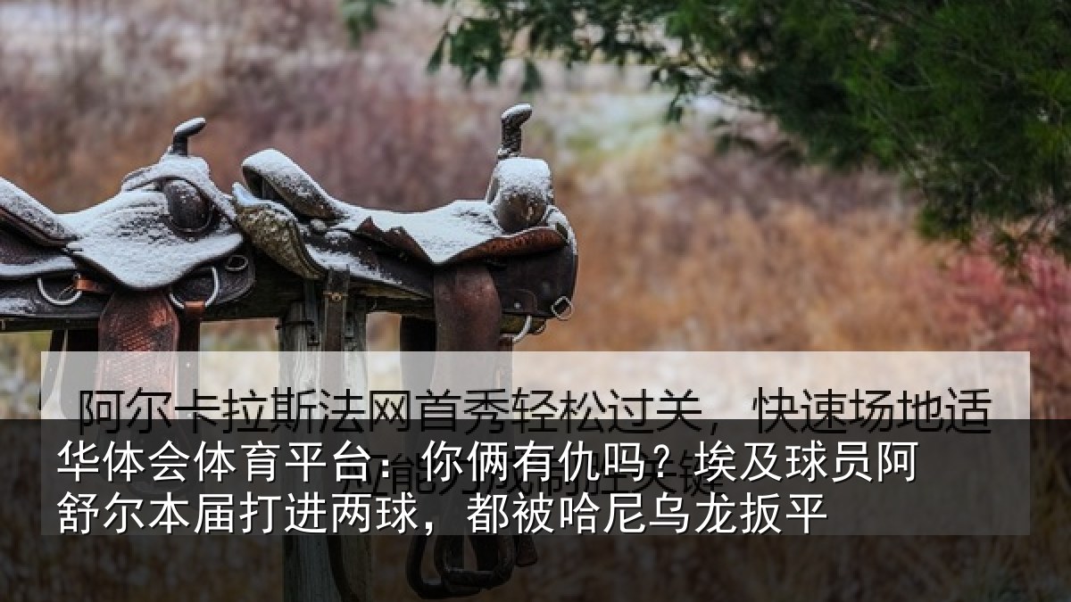 华体会体育平台:你俩相关情况舒尔相关情况哈尼乌龙扳平